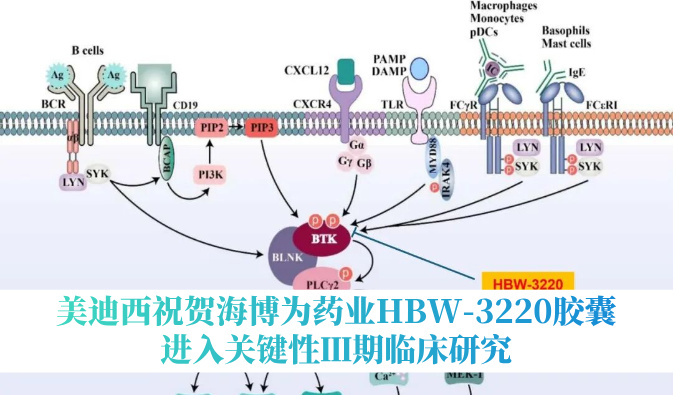 破解耐药性难题，不朽情缘mg官网：睾２┪┮礖BW-3220胶囊进入关键性Ⅲ期临床研究