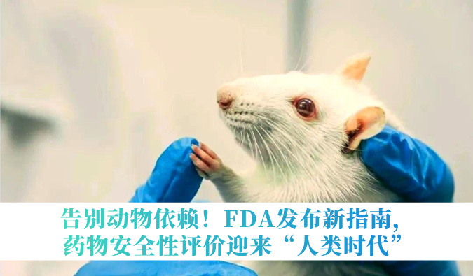 告别动物依赖！FDA发布新指南，药物安全性评价迎来“人类时代”